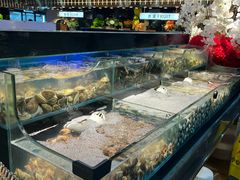 -苏格里岛自助烤肉海鲜火锅(成都金牛万达店)