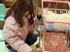 -猫色咖啡·猫咖