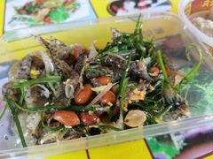 -无影脚佛山陈氏盲公丸始创店(飞鸿街店)