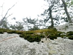 -罗田薄刀峰风景区