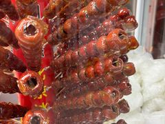 -和禄德冰糖葫芦(东四朝内菜市场店)