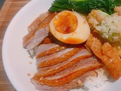 金奖卤鹅肉饭-陈鹏鹏潮汕菜(宝安机场T3航站楼店)