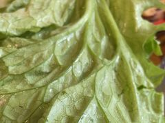 -石记老北京炙子烤肉(松园店)