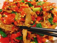 鸭掌筋-壹盏灯(惠农店)