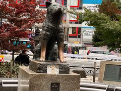 -涩谷全向十字路口