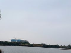 -大兴滨河森林公园