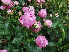 -苏州河梦清园环保主题公园