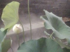 -花锦堂·隐庐