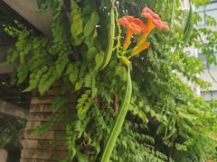 -湖北美术学院(昙华林校区)