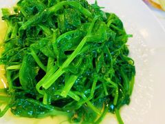 -钦善斋·养生膳食·精典川菜(武侯祠店)