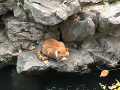 -寒山寺