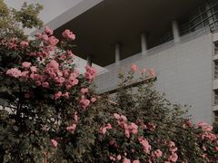 -上海科技馆(地铁站)