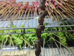 -张杨烤菜(渭南总店)