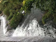 -贵阳市花溪国家城市湿地公园