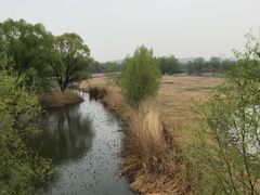 -北京麋鹿生态实验中心