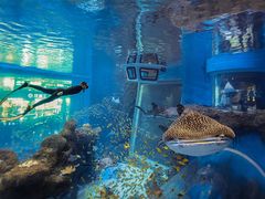 -成都浩海立方海洋公园