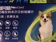 -申普宠物医院·眼科·心内科·影像科(普陀分院)