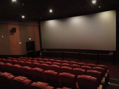 -卢米埃影城(合生广场IMAX店)