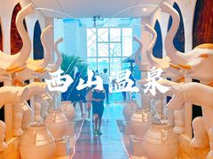 -陆地游轮西山温泉号