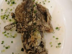 特色葱油飞鱼-岭南海晏楼(滨江东总店)