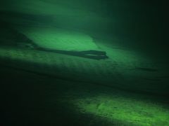 -白鹤梁水下博物馆