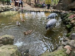 -燕塞湖鸟语林景区