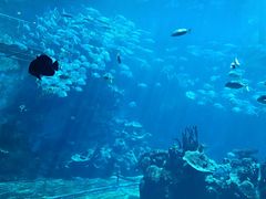 -天房洲际度假酒店宴会厅