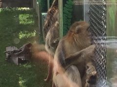 -西安秦岭野生动物园