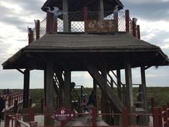 -北海金海湾红树林生态旅游区