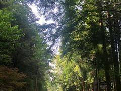 -大围山国家森林公园