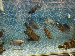 -金塘胜宴(石湾店)