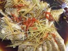 -煲来饱去冷水鱼