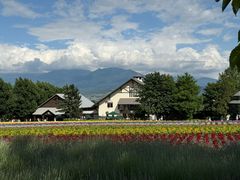 -富田农场