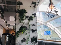 -农畉LONFOOD(福田星河COCOPark店)