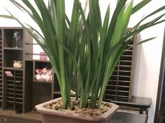 -皇城老妈川味火锅·大连海鲜火锅(港湾店)