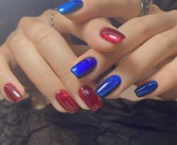 -BELLAREAL新美社