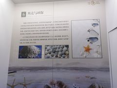 -贝壳王国博物馆