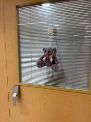 -杭州贝瑞斯美华妇儿医院·早孕·产检·儿科