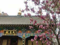 -护国法轮寺