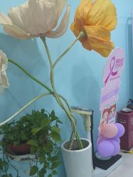 -斐尔国际皮肤管理中心