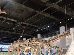 -国家自然博物馆