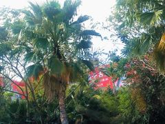 -三亚千古情景区游客中心-接待中心