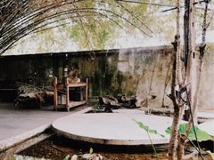 -陶享时光西餐·下午茶·竹林花园(新城店)