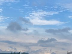 -南宁花花大世界景区