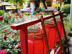 -白家大院·王府宫廷菜(苏州街店)