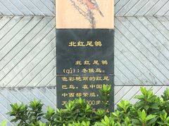 -琴亭湖公园