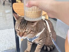 -V&A cafe