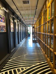 -鼎极摄影(世纪金源店)