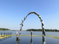 -深圳人才公园