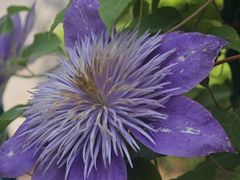 -北京植物园-展览温室